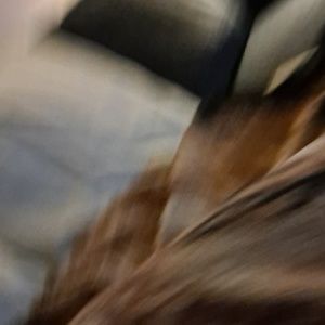 Meet your Posher, Patti